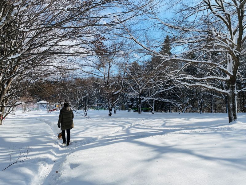 平岡公園でコーギーもこすけと散歩