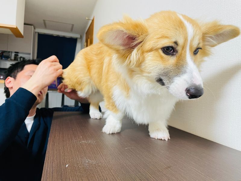 神妙な表情もかわいい