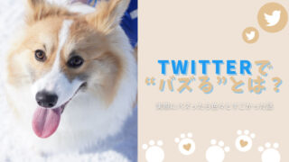 Twitterでバズるとは？実際にバズったら色々すごかった話【フォロワー 