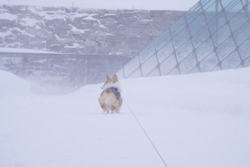 ガラスのピラミッド 吹雪きで撮影断念