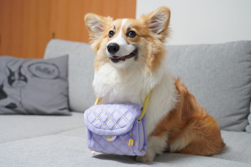 Doggy Box ドギーボックスからプレゼントされたショルダーバッグ