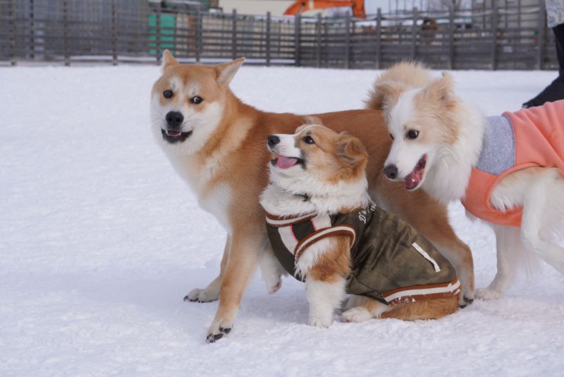 仲良し3人組