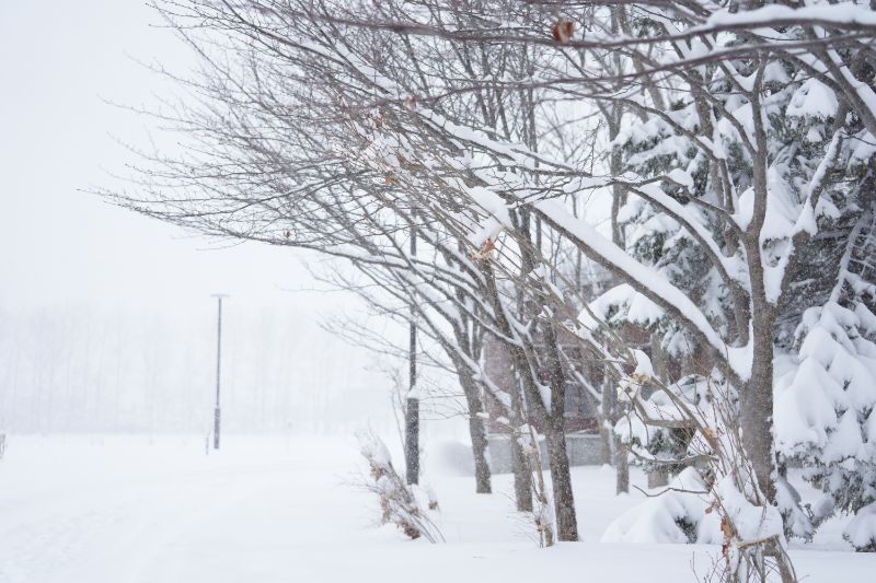 春の嵐で大雪 猛吹雪の札幌の公園