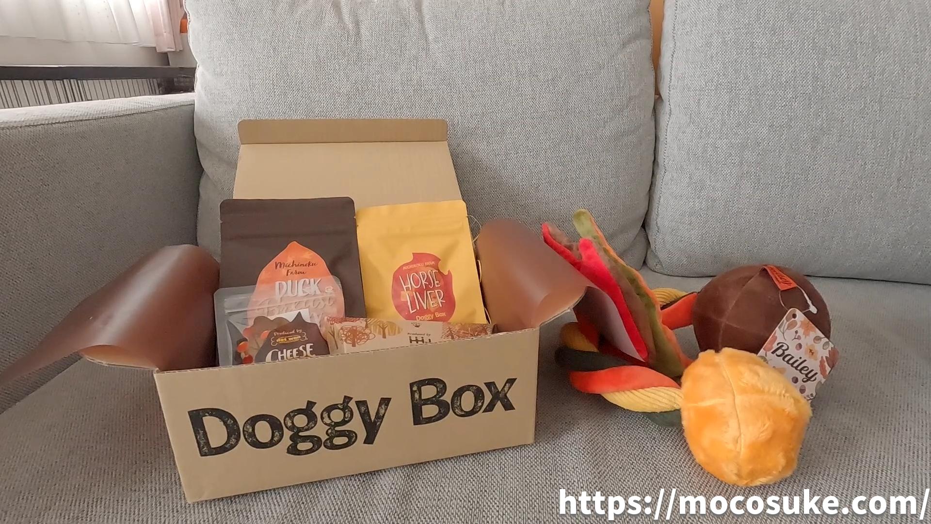 Doggy Box 11月号の中身