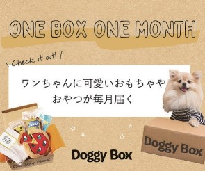 ドギーボックス doggybox