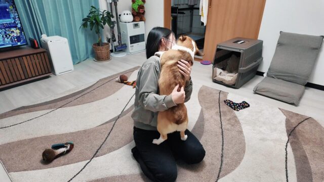 愛犬たちと過ごす帰宅後のひととき