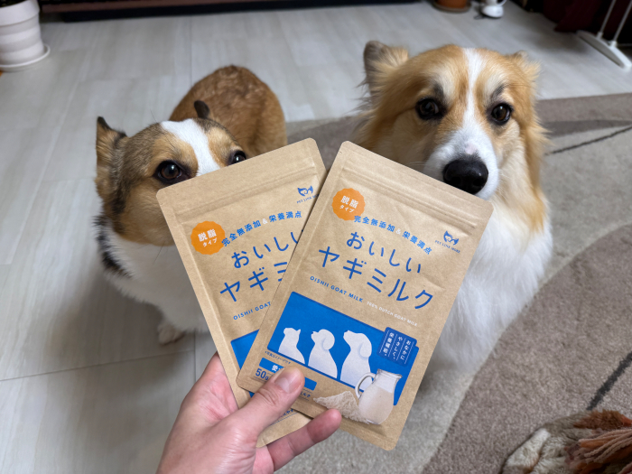 コスパ最強の「ヤギミルク」をあげてみた結果…